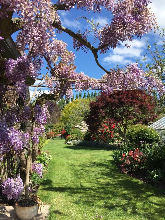 Rhododendron Garden Hotel Крайстчърч Екстериор снимка
