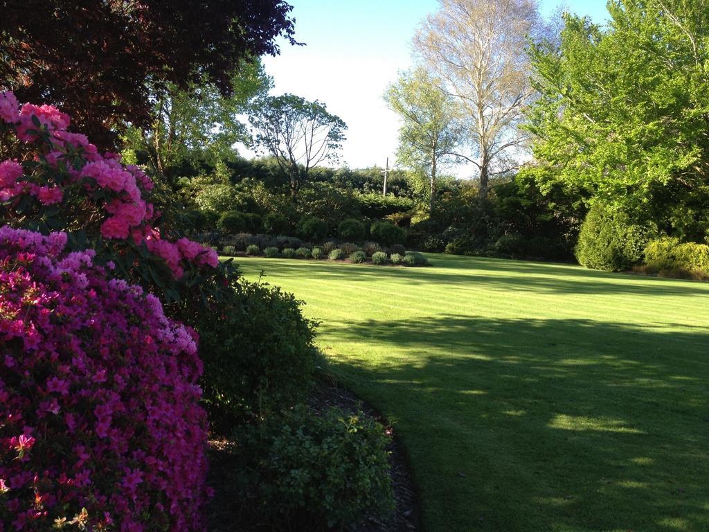 Rhododendron Garden Hotel Крайстчърч Стая снимка