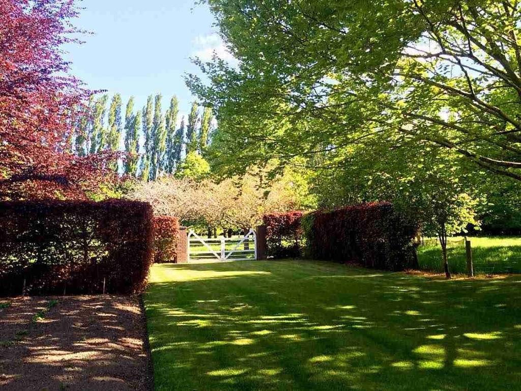 Rhododendron Garden Hotel Крайстчърч Стая снимка